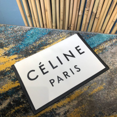 celine-clutch-bag-2