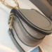 chloe-nile-bag-13