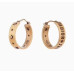 dior-earrings-9