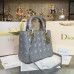 dior-handbag-36