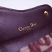 dior-oblique-saddle-4