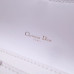 dior-oblique-saddle-clutch-4