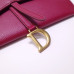 dior-oblique-saddle-clutch-5