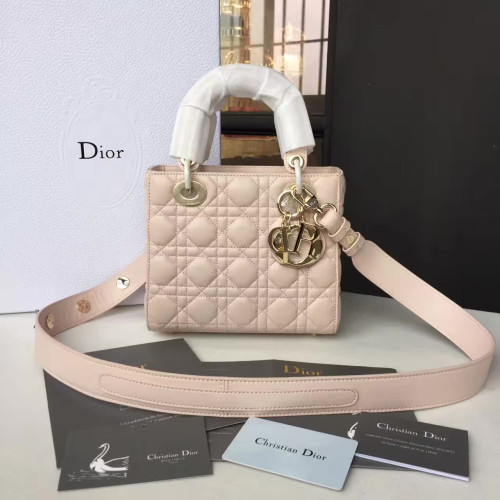 dior-replica-bag-16