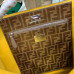 fendi-bag-6