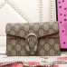 gucci-dionysus-mini-3