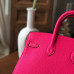 hermes-birkin-25-20