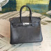 hermes-birkin-54