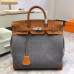 hermes-toile-birkin-bag-2