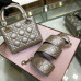 lady-dior-116