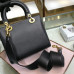 lady-dior-125