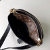 louis-vuitton-flower-bb-2