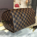 louis-vuitton-speedy-25-replica-bag-10