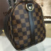 louis-vuitton-speedy-25-replica-bag-10