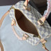 louis-vuitton-speedy-25-replica-bag-11