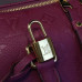 louis-vuitton-speedy-25-replica-bag-6