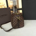 louis-vuitton-speedy-25-replica-bag-8