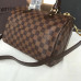 louis-vuitton-speedy-25-replica-bag-8