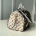 louis-vuitton-speedy-30-17